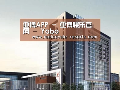 案例展示七