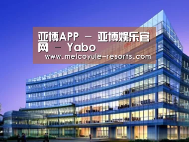 案例展示五