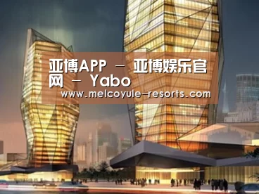 案例展示三