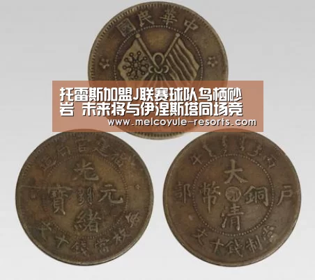 托雷斯加盟J联赛球队鸟栖砂岩 未来将与伊涅斯塔同场竞技:亚博首页(图4) 亚博体育