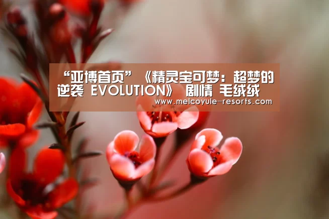 “亚博首页”《精灵宝可梦:超梦的逆袭 EVOLUTION》 剧情 毛绒绒皮卡丘(图2) 亚博官网