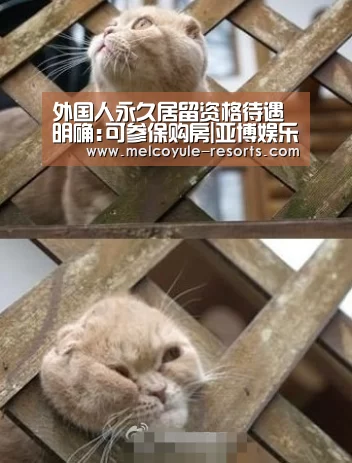 亚博娱乐