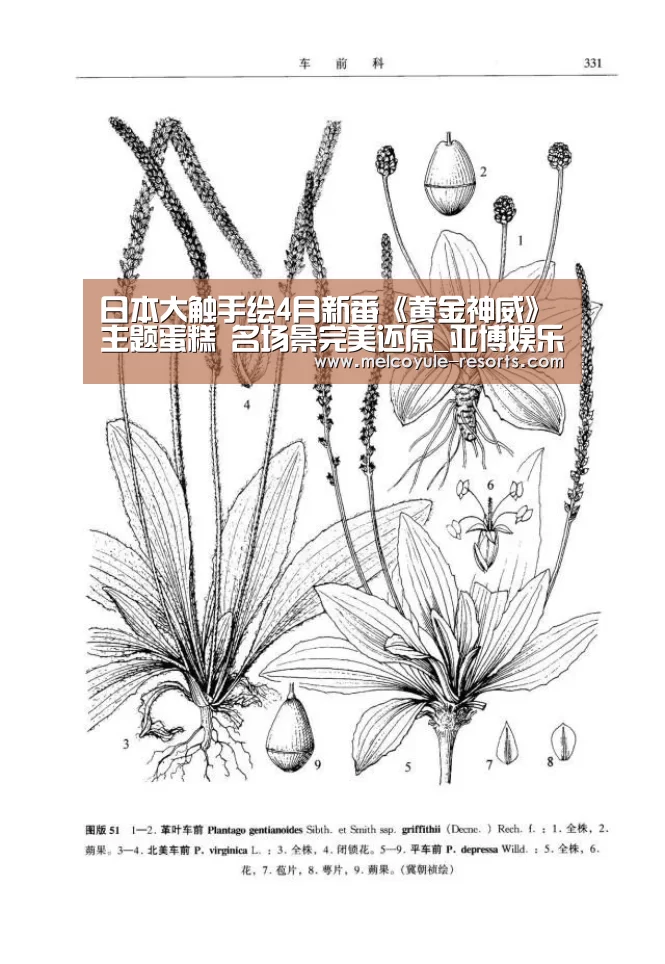 亚博娱乐