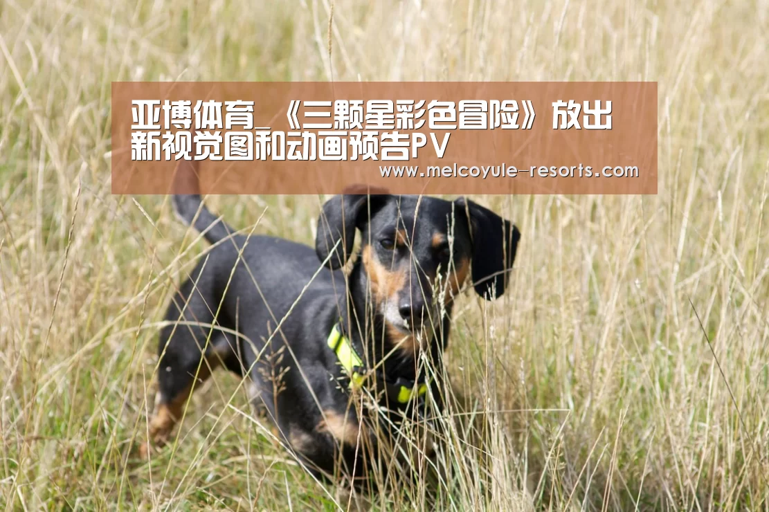 亚博官网