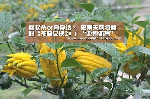 亚博体育