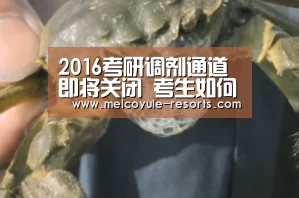 2016考研调剂通道即将关闭 考生如何抓住最后的调剂机会‘亚博体育’(图1) 亚博首页
