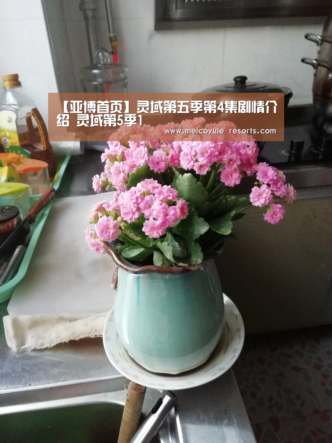 【亚博首页】灵域第五季第4集剧情介绍 灵域第5季1(图2) 【亚博首页】灵域第五季第4集剧情介绍 灵域第5季1(图2)
