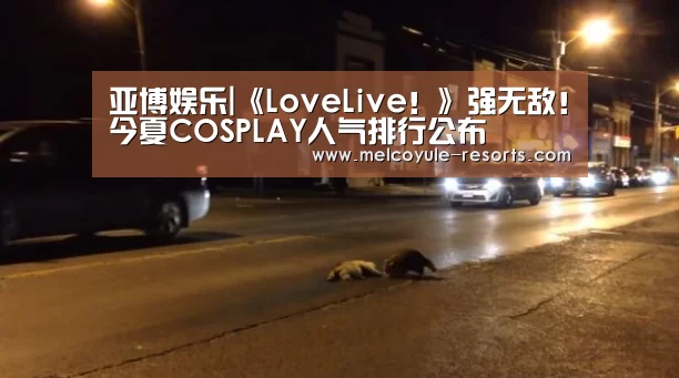 亚博娱乐|《LoveLive!》强无敌!今夏COSPLAY人气排行公布(图2) 亚博首页