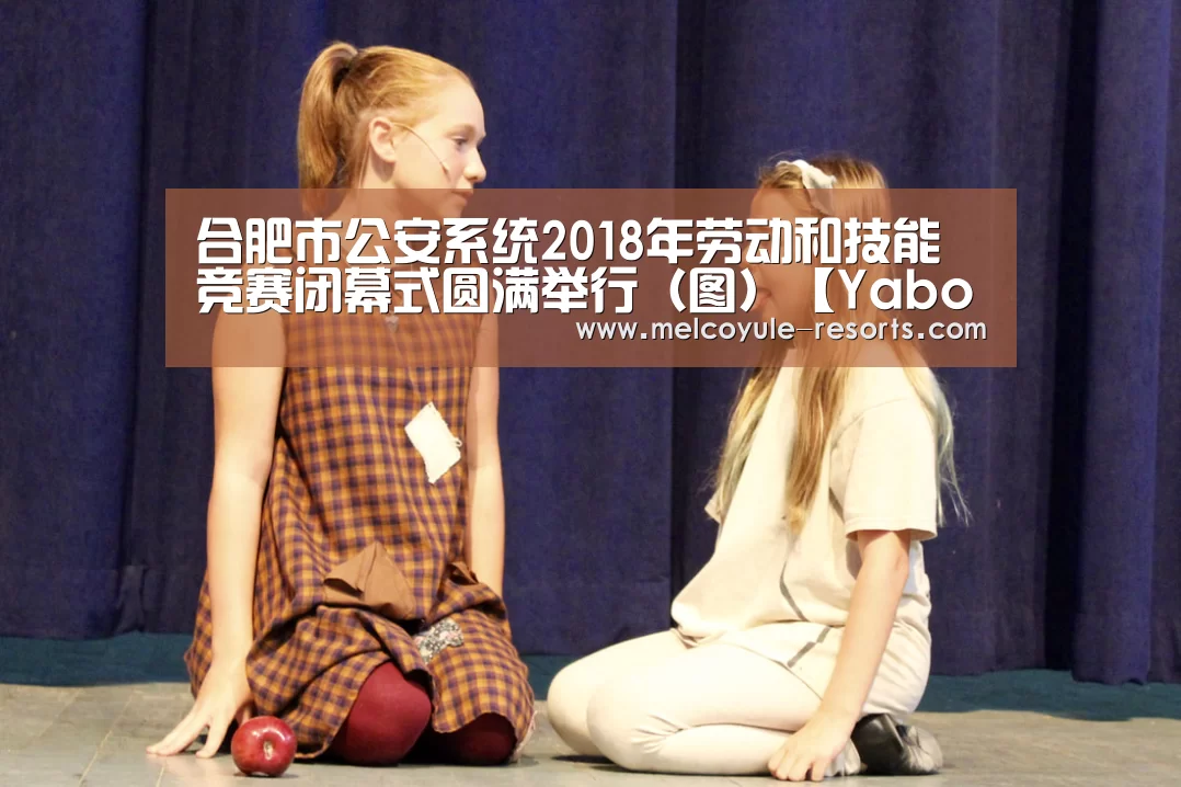 合肥市公安系统2018年劳动和技能竞赛闭幕式圆满举行(图)【Yabo】(图3) 合肥市公安系统2018年劳动和技能竞赛闭幕式圆满举行(图)【Yabo】(图3)
