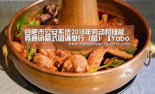 合肥市公安系统2018年劳动和技能竞赛闭幕式圆满举行(图)【Yabo】(图1) 合肥市公安系统2018年劳动和技能竞赛闭幕式圆满举行(图)【Yabo】(图1)